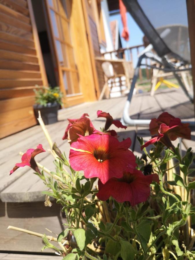 Ferienwohnung Sonnenhof Limbach im Burgenland Exterior foto