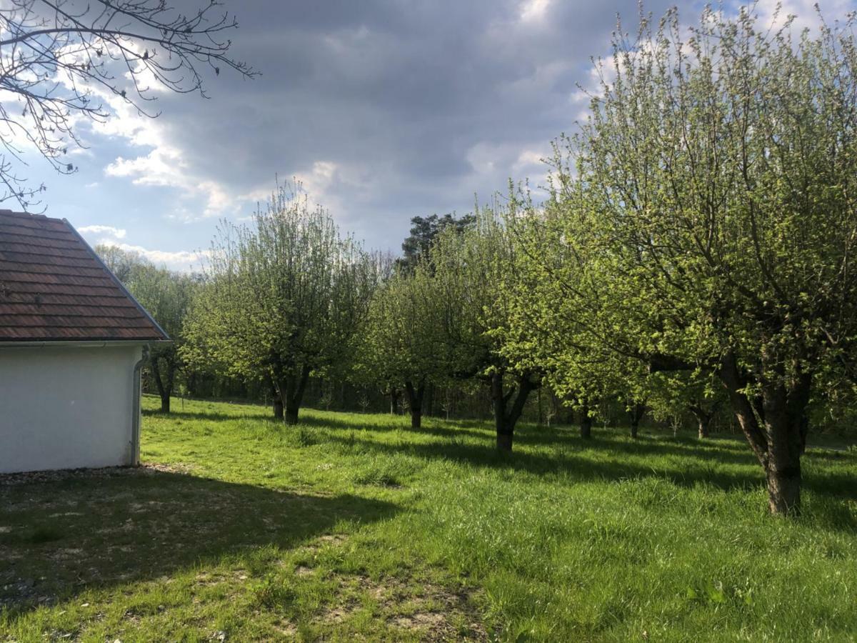 Ferienwohnung Sonnenhof Limbach im Burgenland Exterior foto
