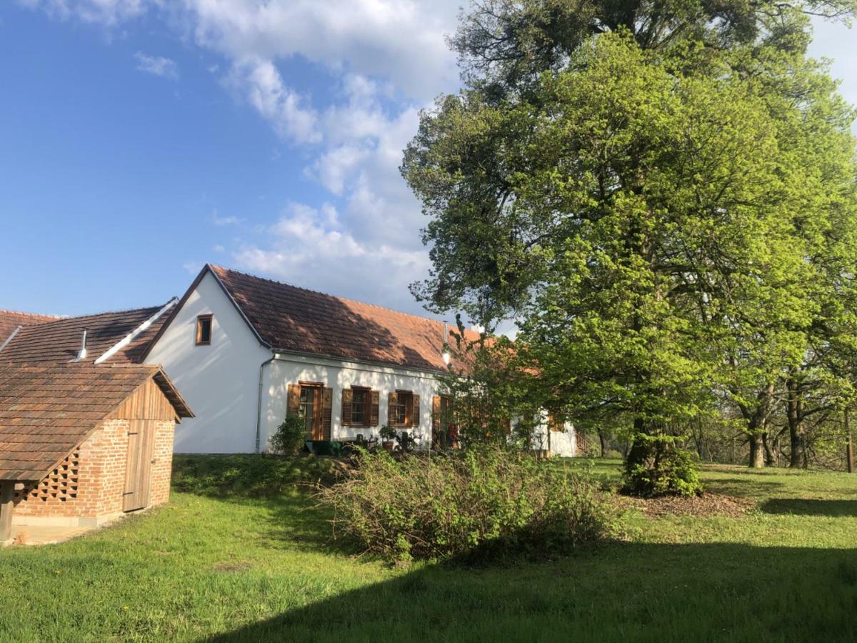 Ferienwohnung Sonnenhof Limbach im Burgenland Exterior foto