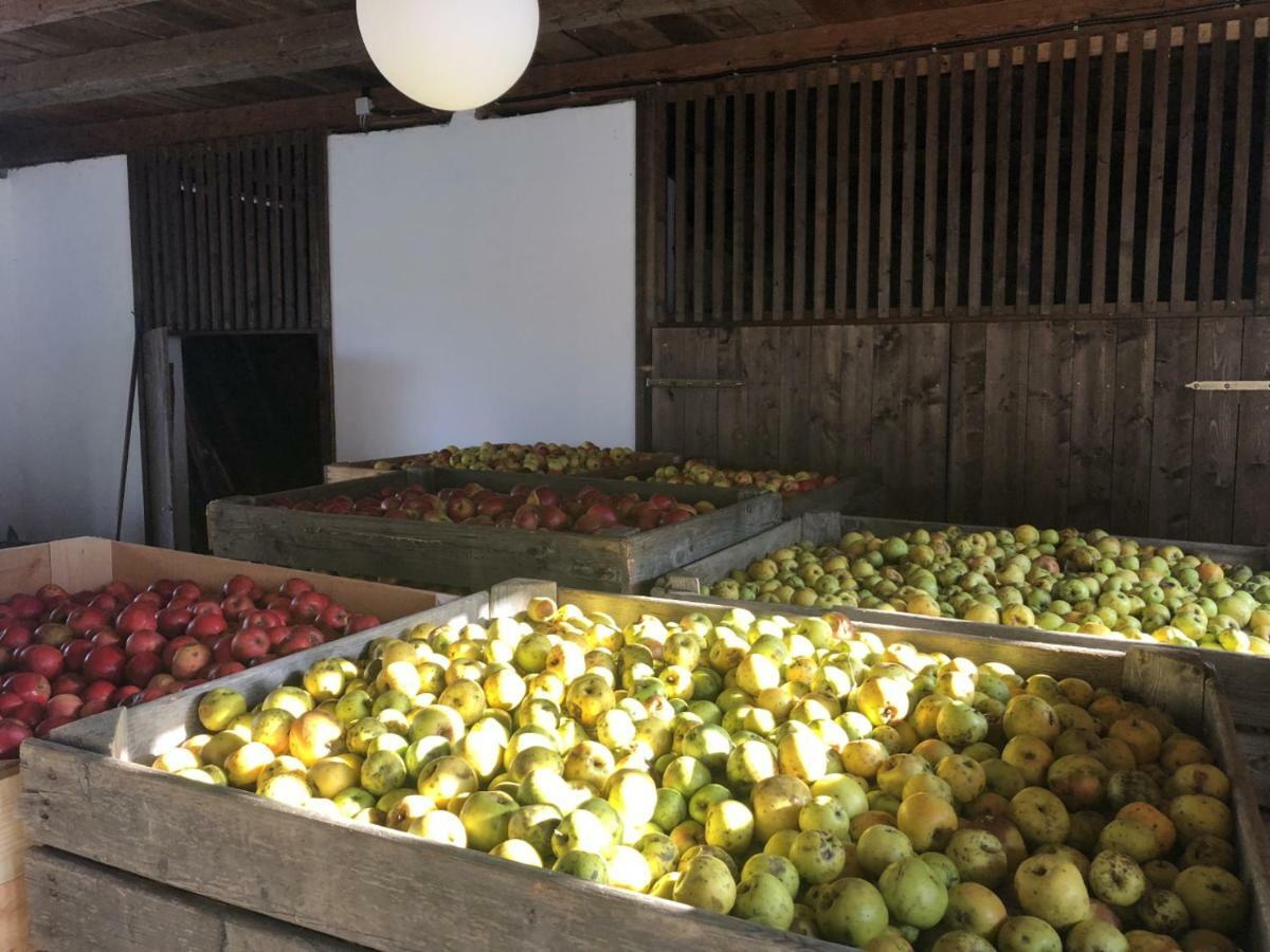 Ferienwohnung Sonnenhof Limbach im Burgenland Exterior foto