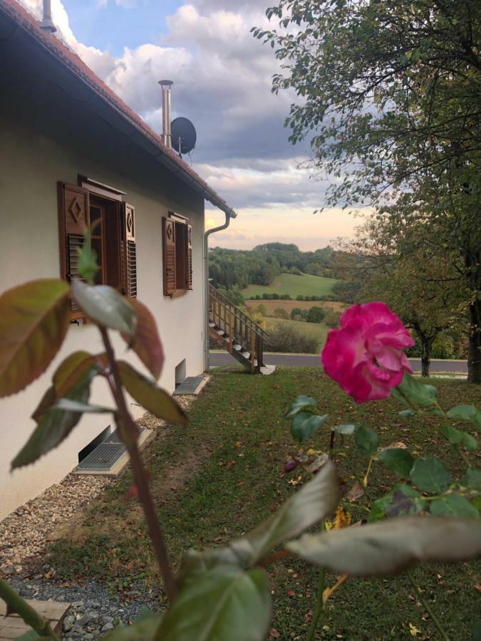 Ferienwohnung Sonnenhof Limbach im Burgenland Exterior foto